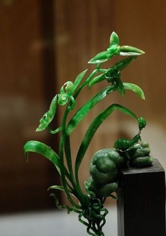 翡翠岁月惊喜