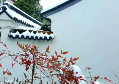 这一场雪，惊艳了时光！来玉神苑围炉煮雪可好！