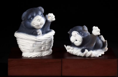 第六届“玉华奖”入围作品提前看
