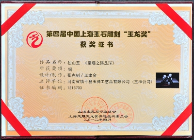 2012年玉龙奖获奖作品《童趣之踢足球》