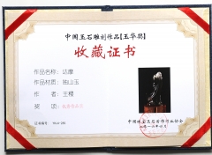 2016年玉华奖优秀奖 达摩