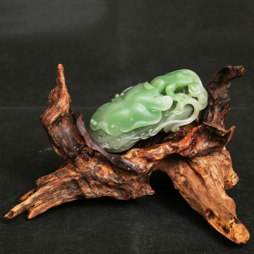 蛙 趣